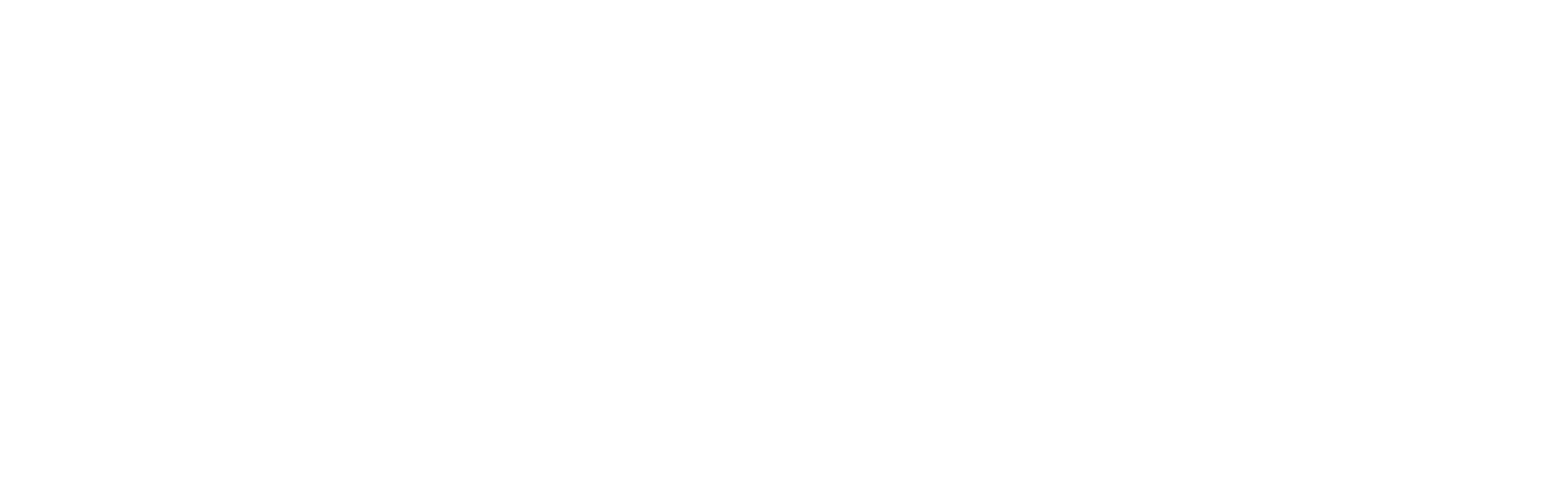 Logo_Flexxpert
